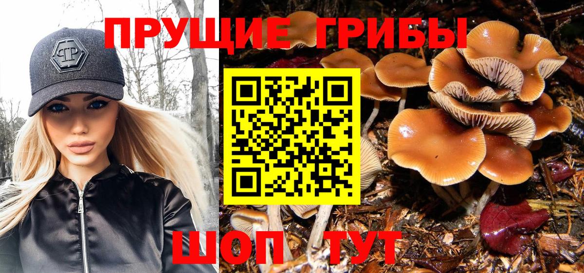 Галлюциногенные грибы Magic Shrooms Майкоп